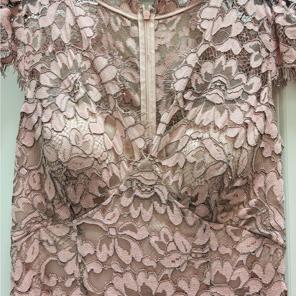Eliza J Blush Pink Lace Dress - Picture 3 of 4